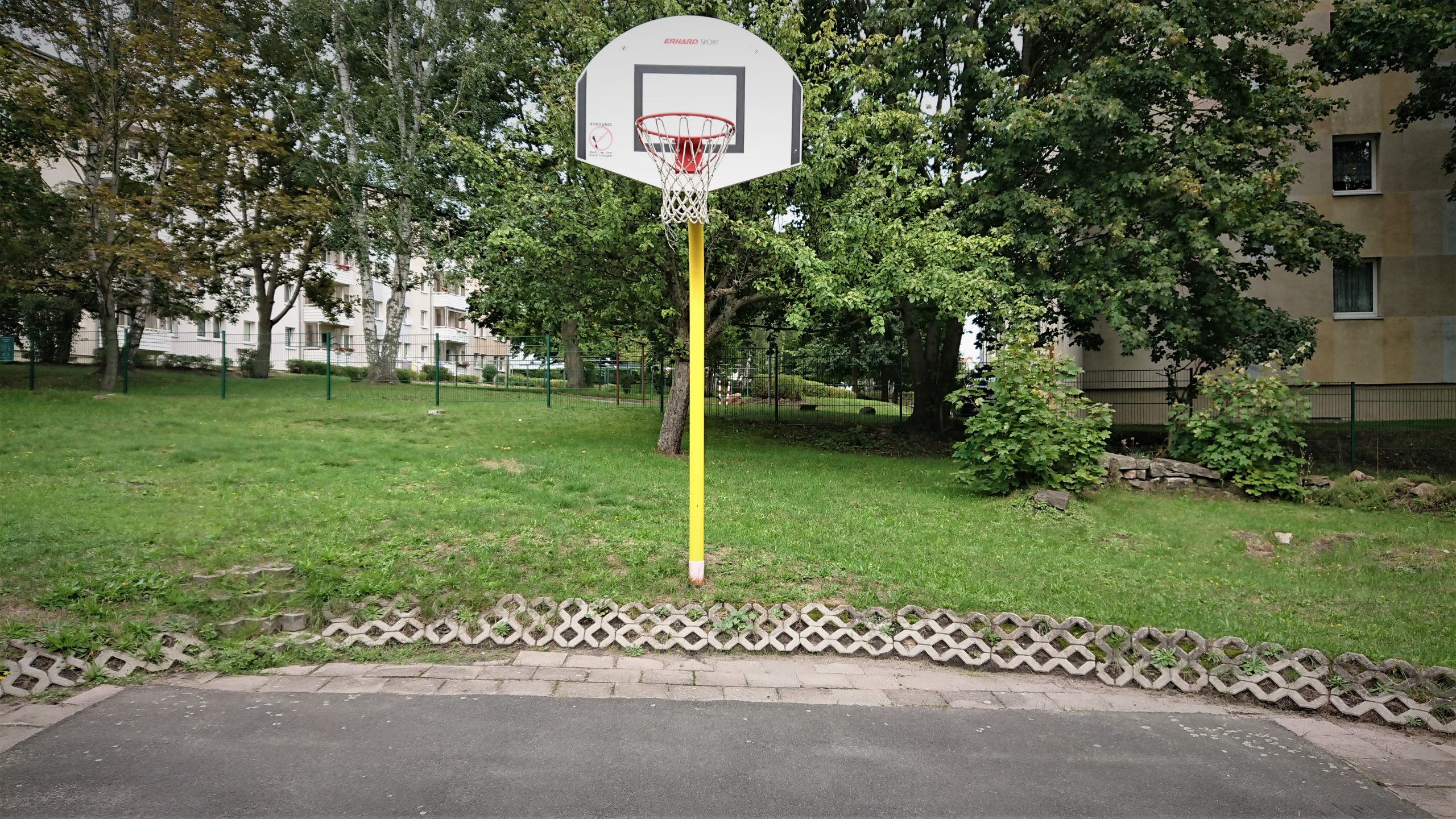 5 Basketball
